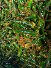 Load image into Gallery viewer, Hari Marchaa Achaar (Green Chillies Pickle) - 200 gm
